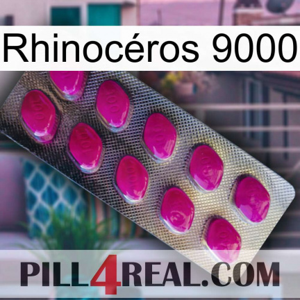 Rhinocéros 9000 09